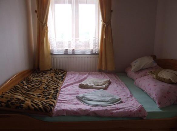 Gospoda Kruszyna Kruszyn  ห้อง รูปภาพ
